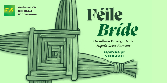 Poster featuring St Brigid's Cross design and details of Brigid's Cross workshop